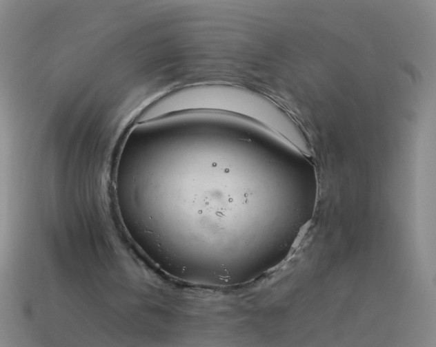 X0000114110146200910191709