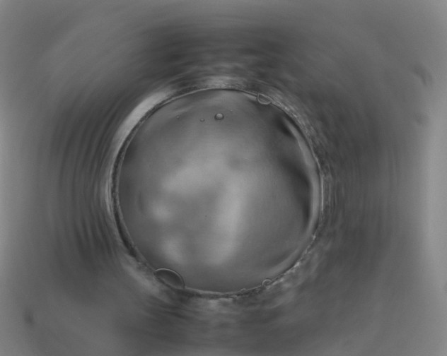 X0000114110147200910191709