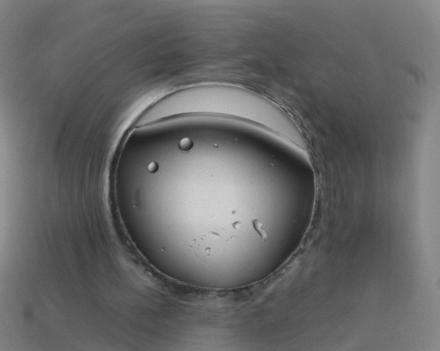 X0000114110148200910191709