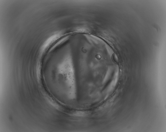 X0000114110149200910191709