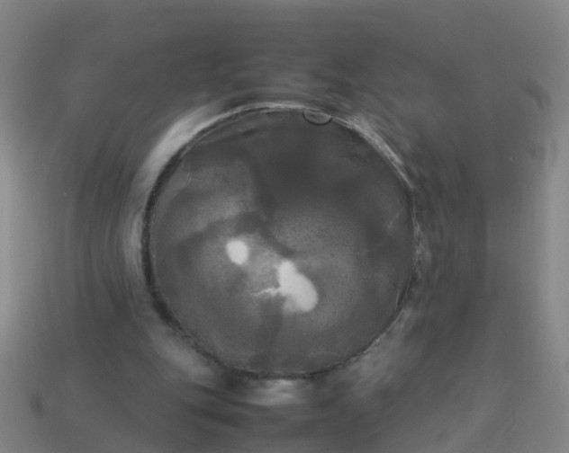 X0000114110151200910191709