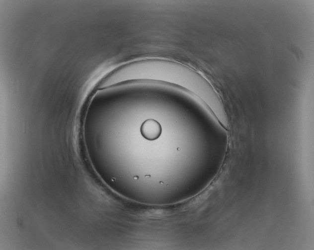 X0000114110152200910191710