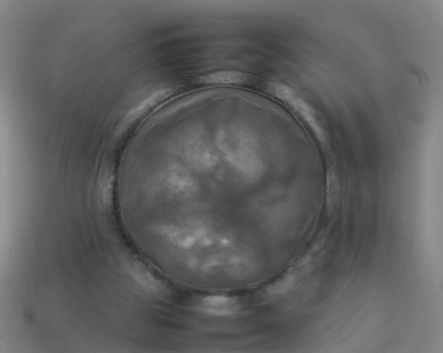 X0000114110153200910191710