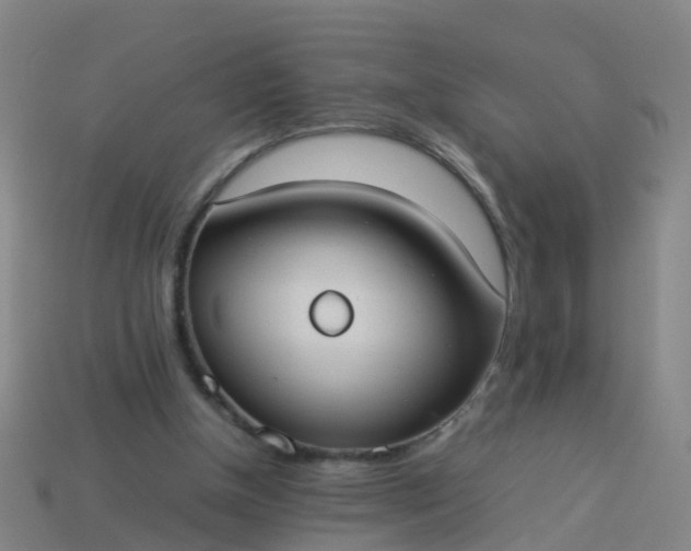 X0000114110154200910191710