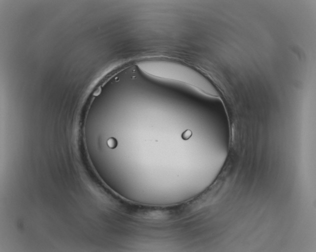 X0000114110156200910191710