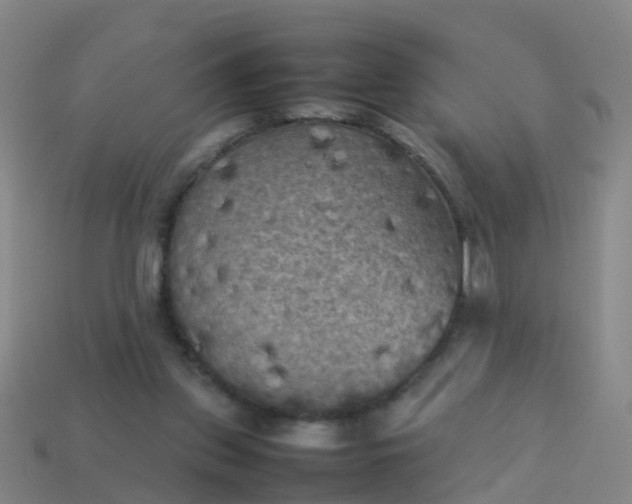 X0000114110157200910191710