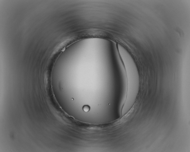 X0000114110158200910191710