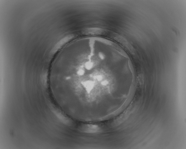 X0000114110159200910191710