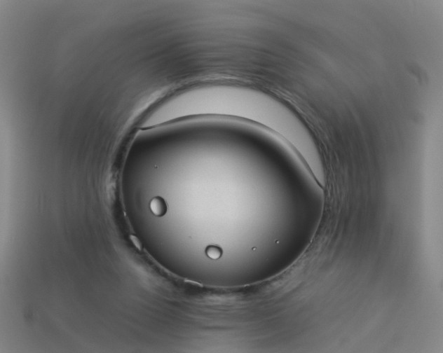 X0000114110160200910191710