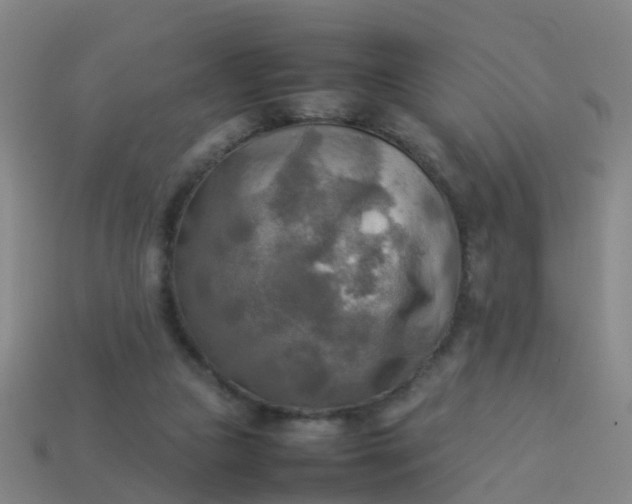 X0000114110161200910191710