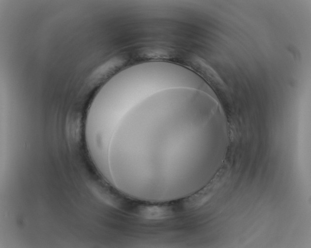 X0000114110163200910191710