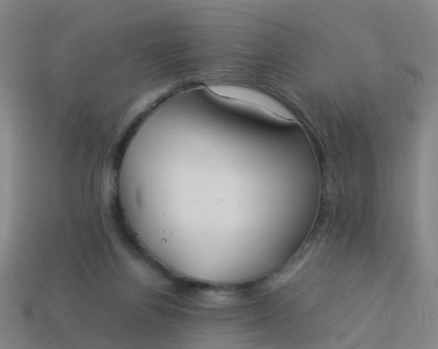 X0000114110164200910191710