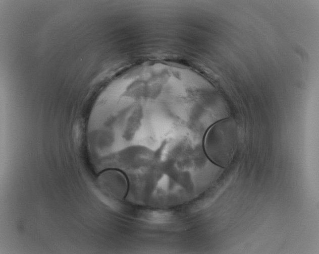 X0000114110165200910191710