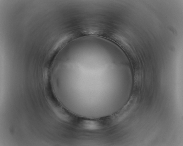 X0000114110167200910191710