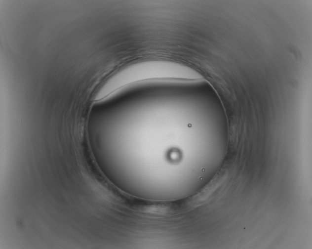 X0000114110168200910191710