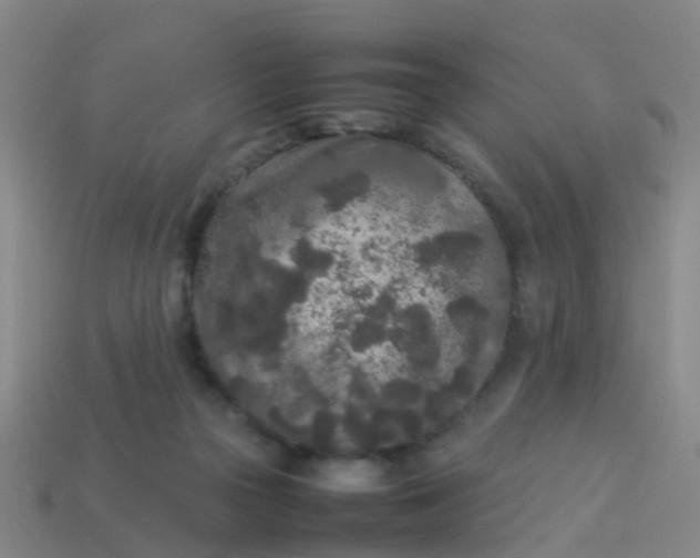 X0000114110169200910191710