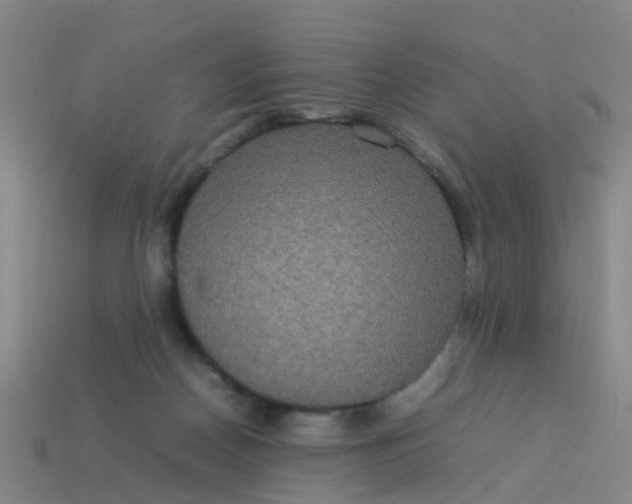 X0000114110170200910191710