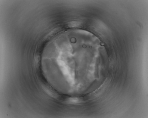 X0000114110171200910191710