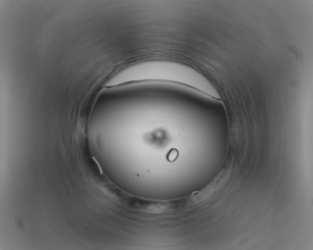 X0000114110172200910191710