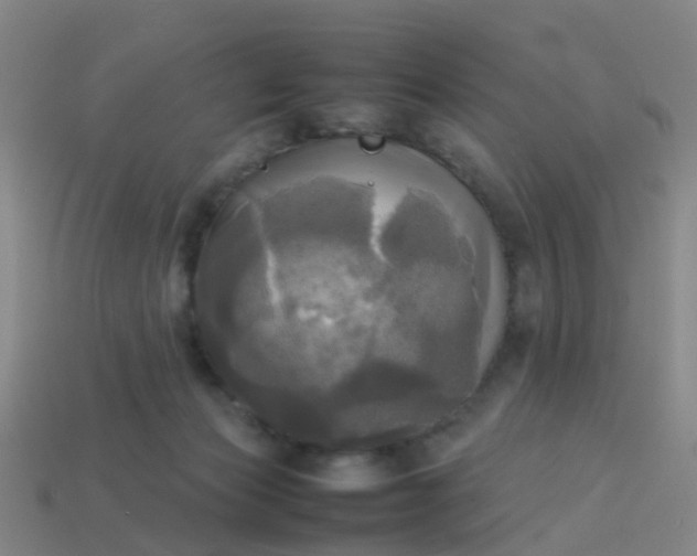 X0000114110173200910191710