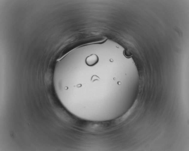 X0000114110174200910191710