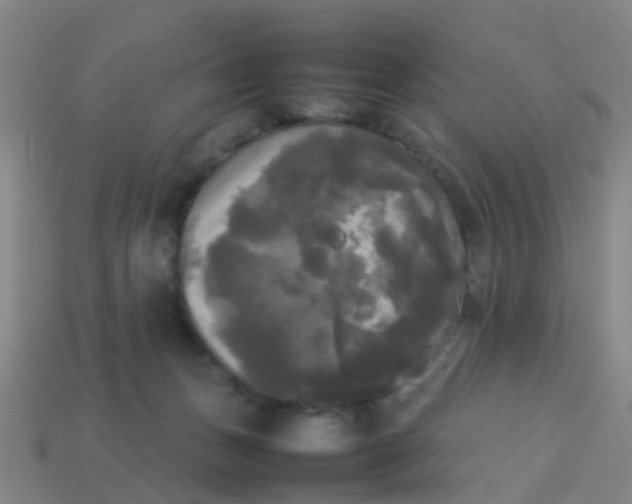 X0000114110175200910191710