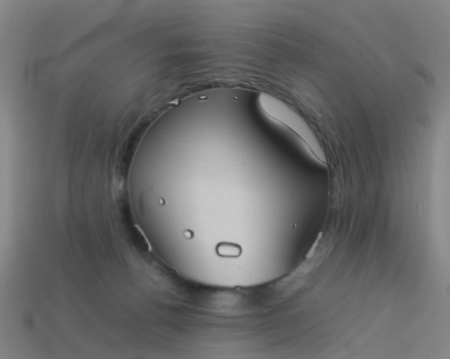 X0000114110176200910191710