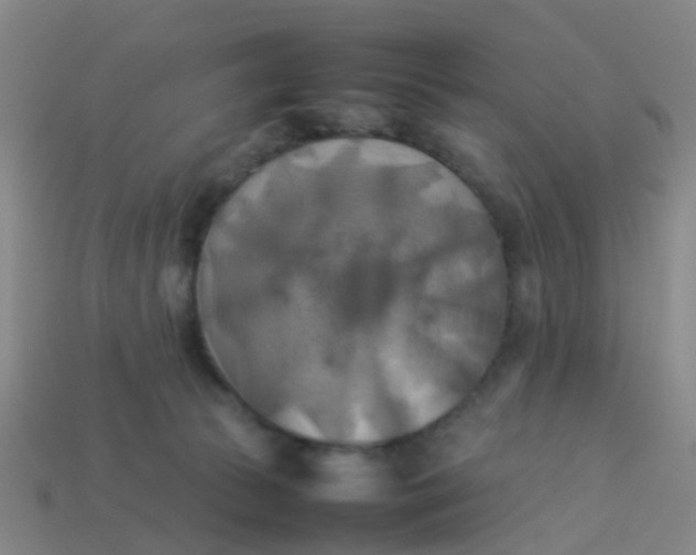 X0000114110177200910191710