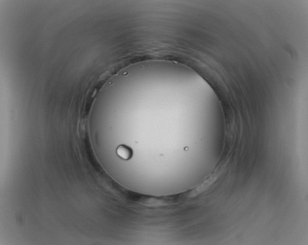 X0000114110180200910191710