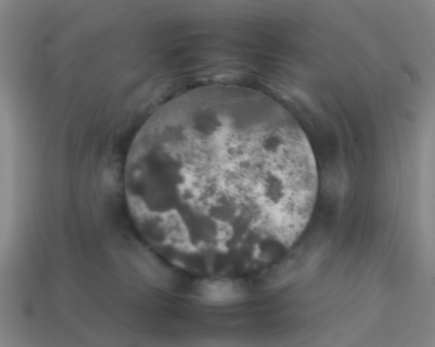 X0000114110181200910191710