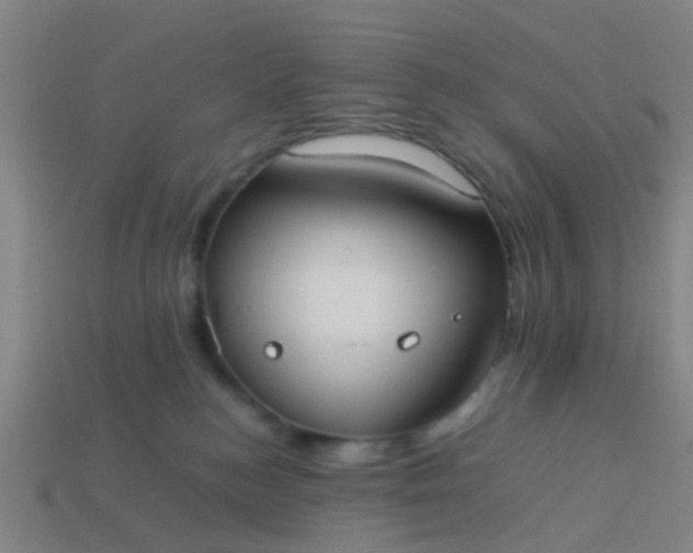 X0000114110184200910191710