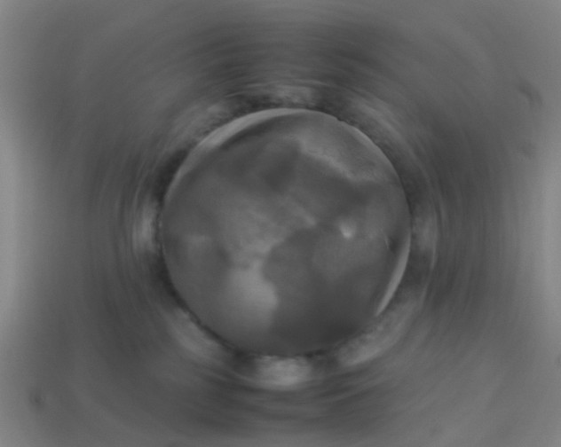 X0000114110185200910191710