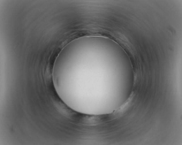 X0000114110186200910191710