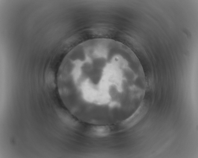 X0000114110187200910191710