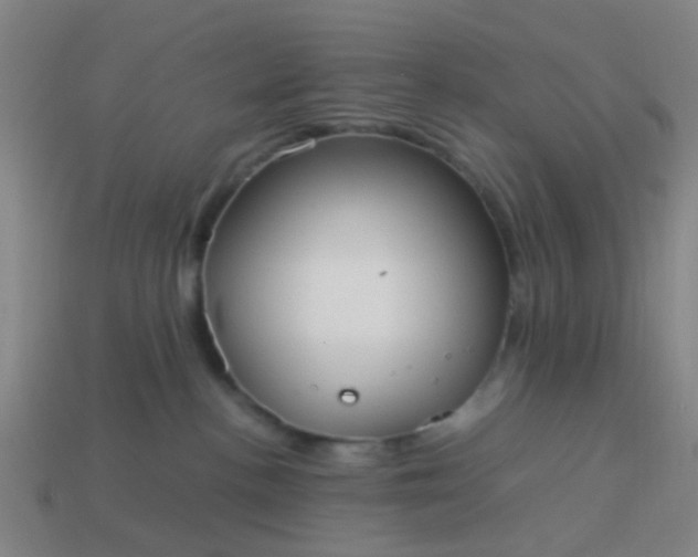 X0000114110188200910191710