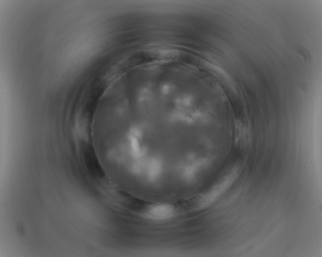 X0000114110189200910191710