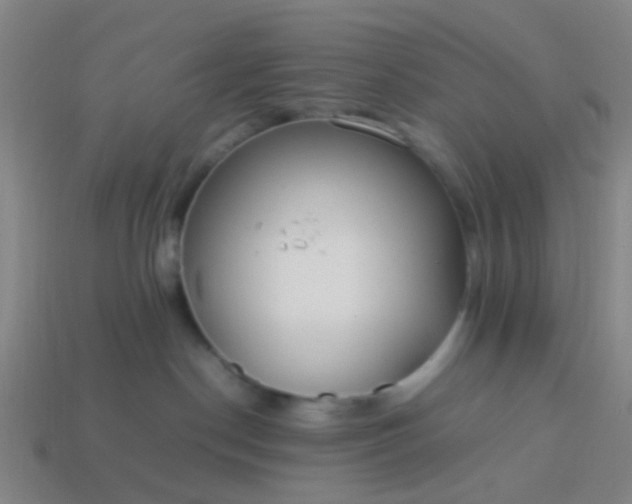 X0000114110190200910191710