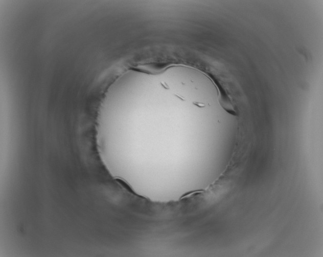 X0000114110192200910191710