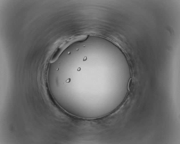 X0000114110193200910191709