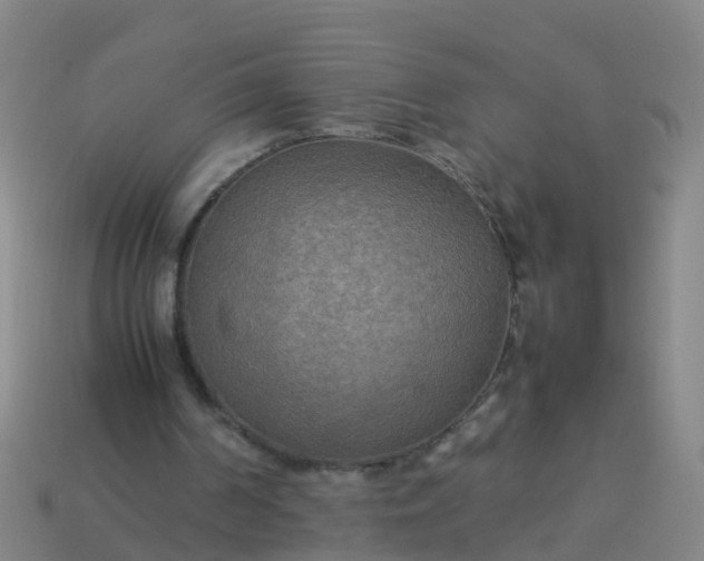 X0000114110194200910191709