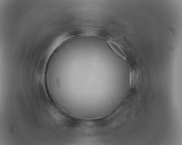 X0000114110195200910191709