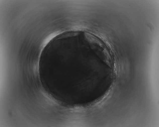 X0000114110196200910191709