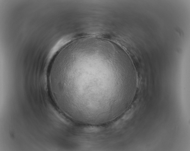 X0000114110198200910191709