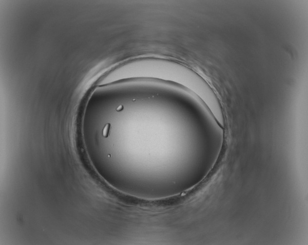 X0000114110199200910191709