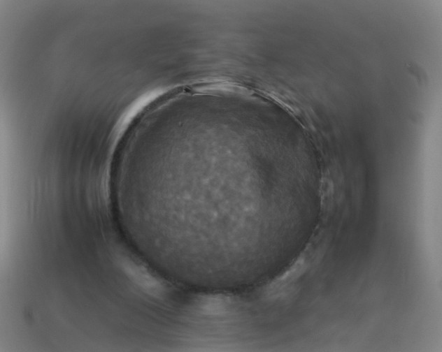 X0000114110200200910191709