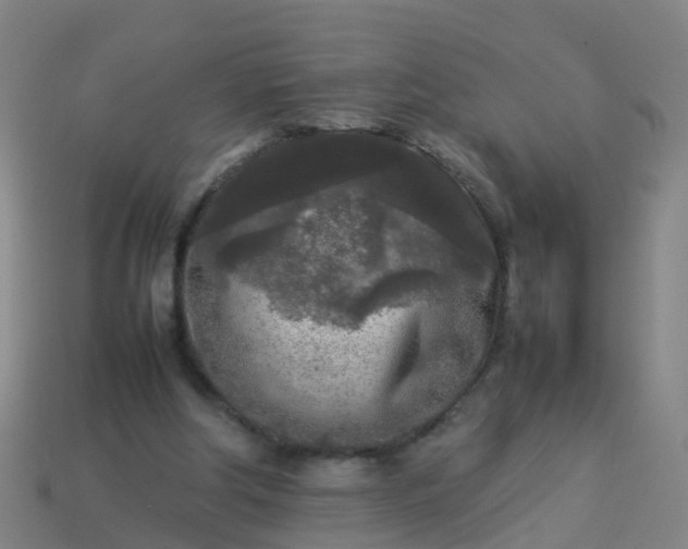 X0000114110202200910191709