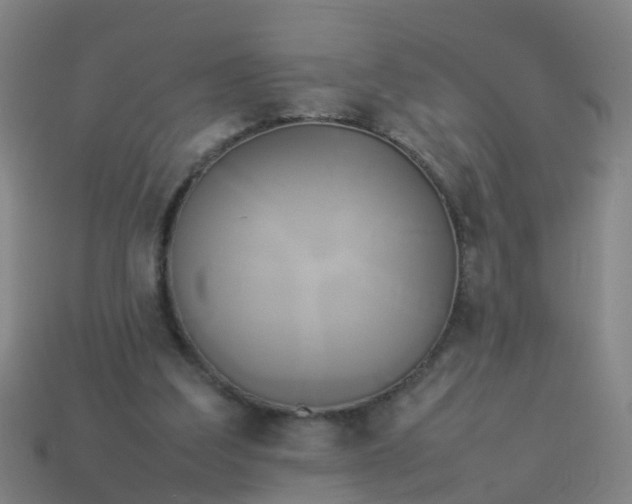 X0000114110203200910191709