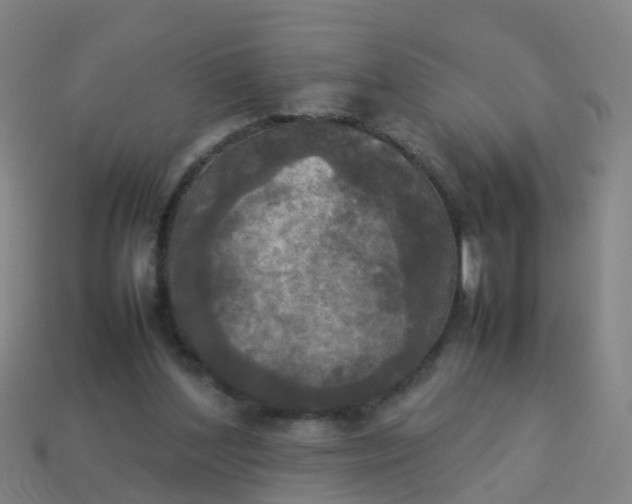 X0000114110204200910191709