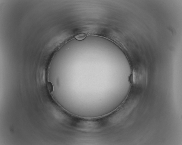 X0000114110205200910191709