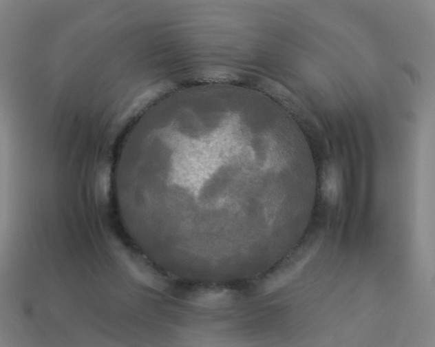 X0000114110206200910191709